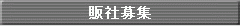 �̎Е�W�^�̔��㗝�X��W